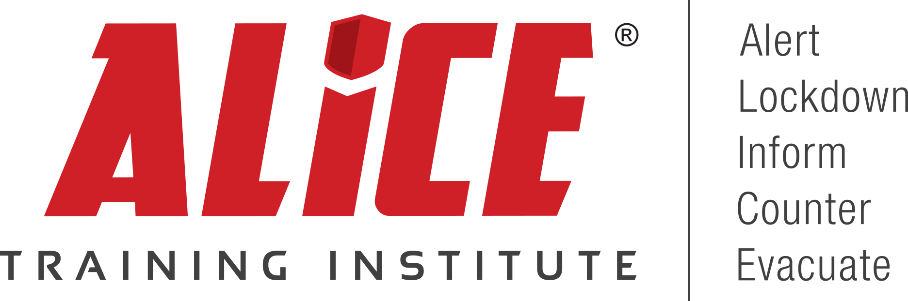 ALICE Training Institute